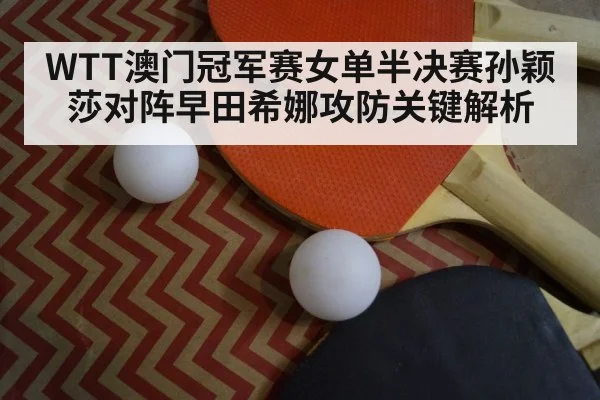 table tennis paddle ball closeup